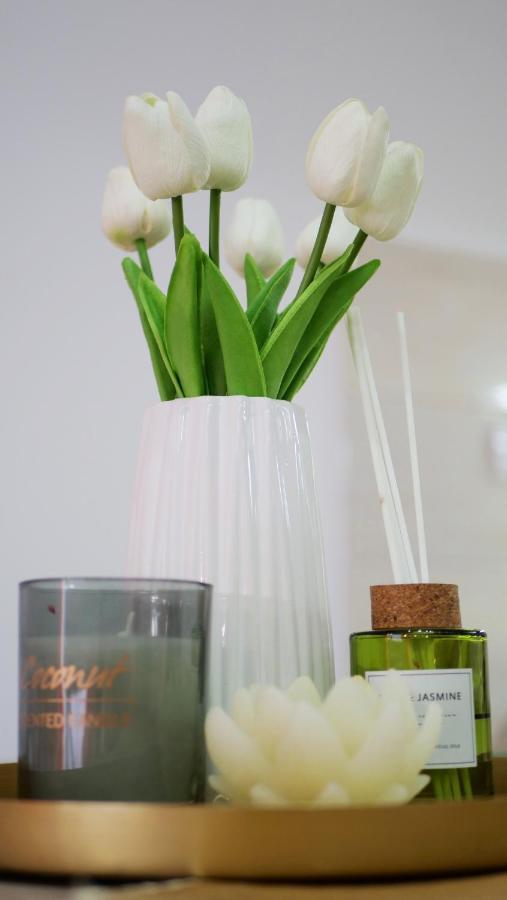 Apartment Harmony Pirot